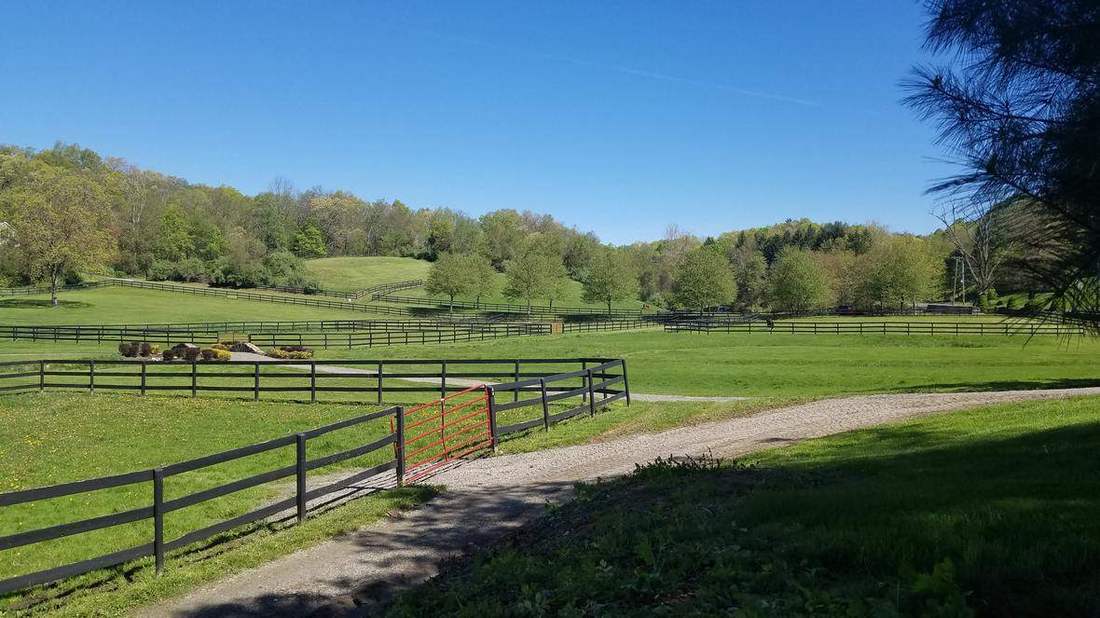 Spring along the paddock lanes