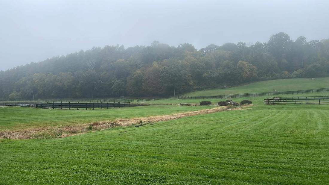 Misty morning over the lower pastures