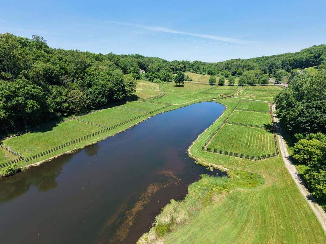 The Pond & Paddocks