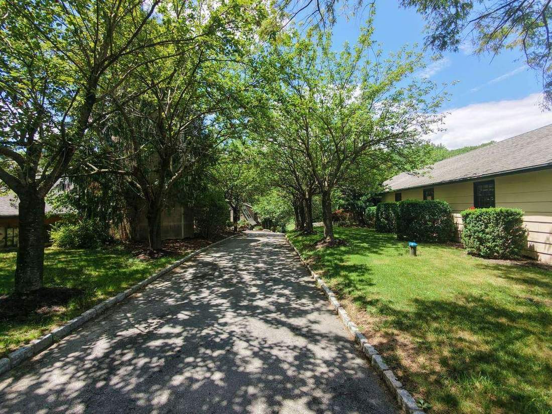 The tree-lined lane to the barns