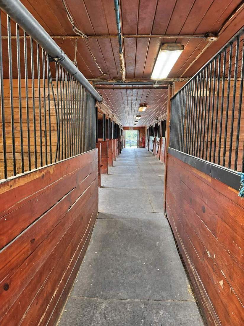 Spacious box stalls down the aisle
