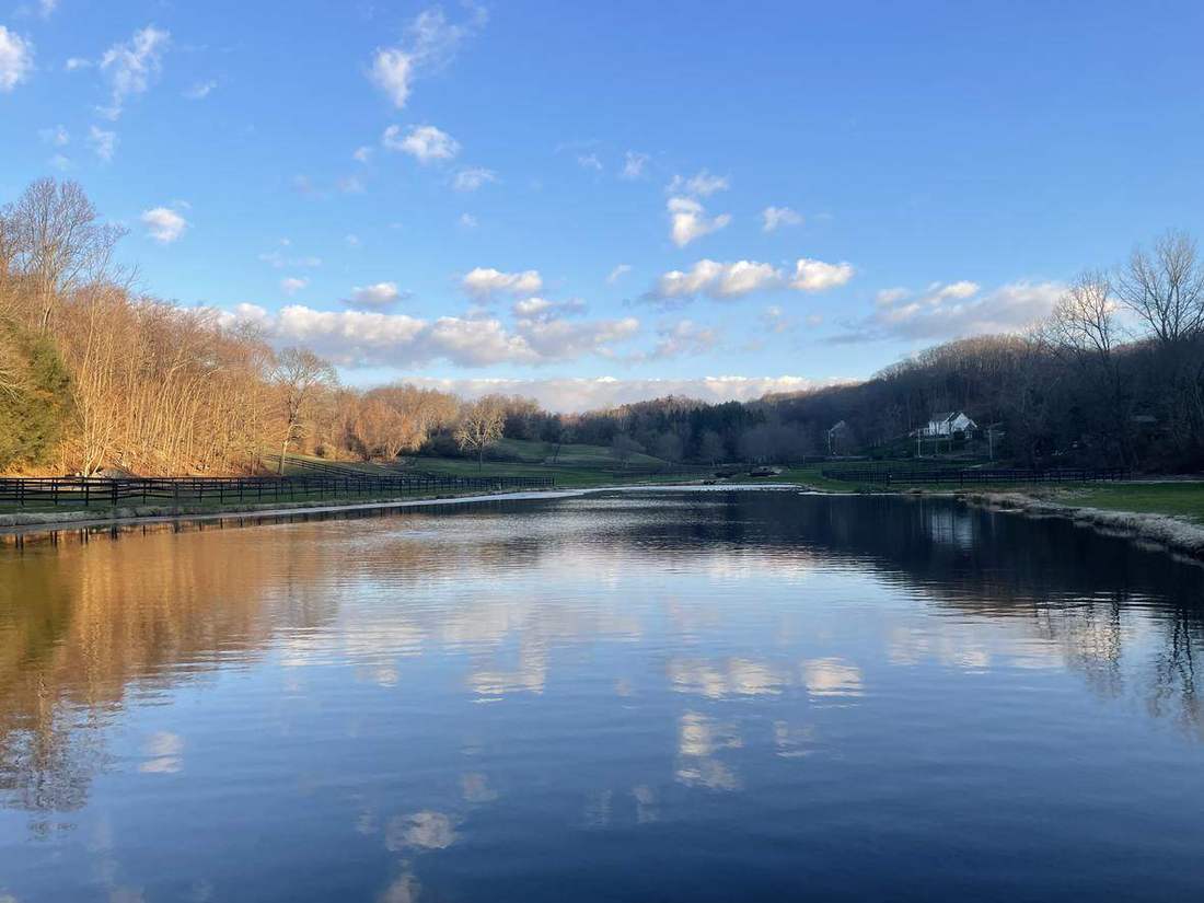 Still water and autumn light at the pond