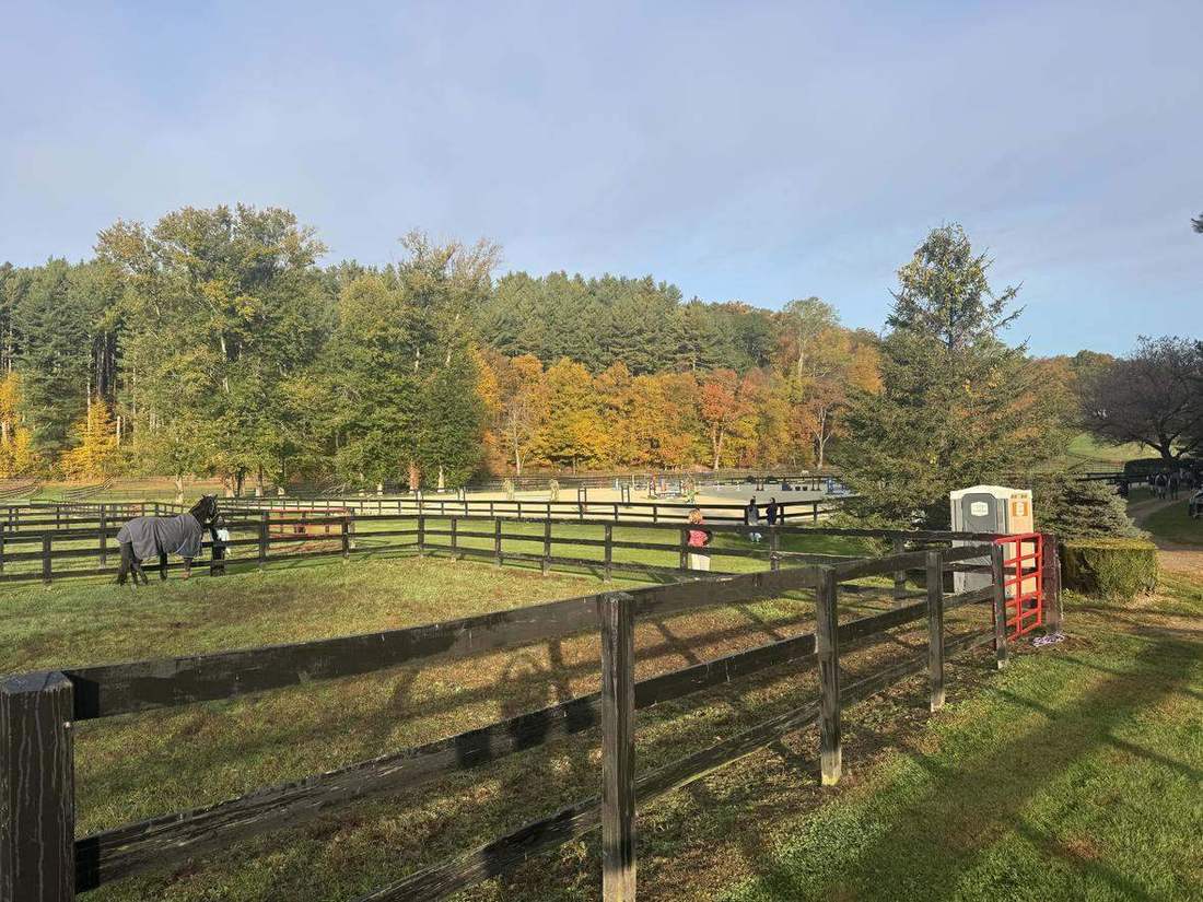 Fall color along the fence lines