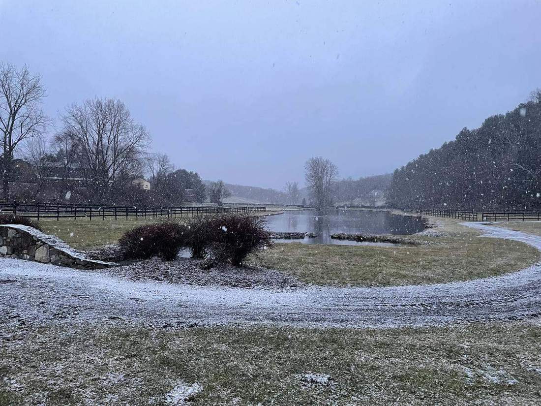 First snow settles on the pond