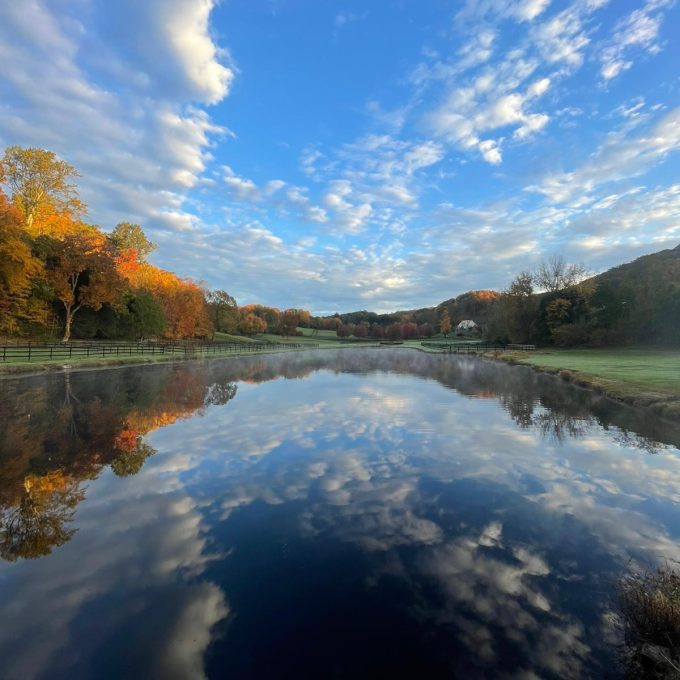 06c747f9-19af-4350-9b2b-cd8e3981364d